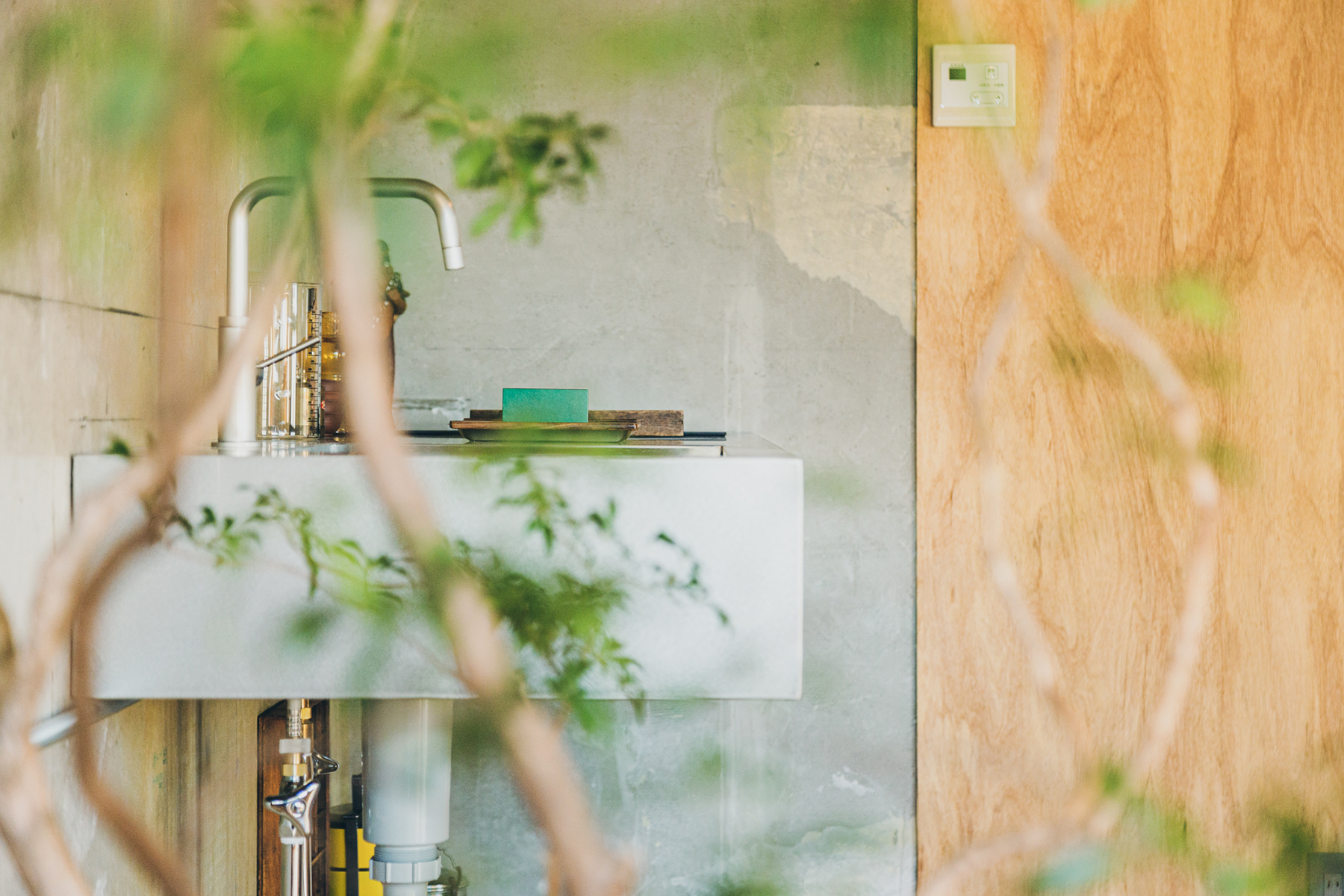 GY3の観葉植物越しのキッチン