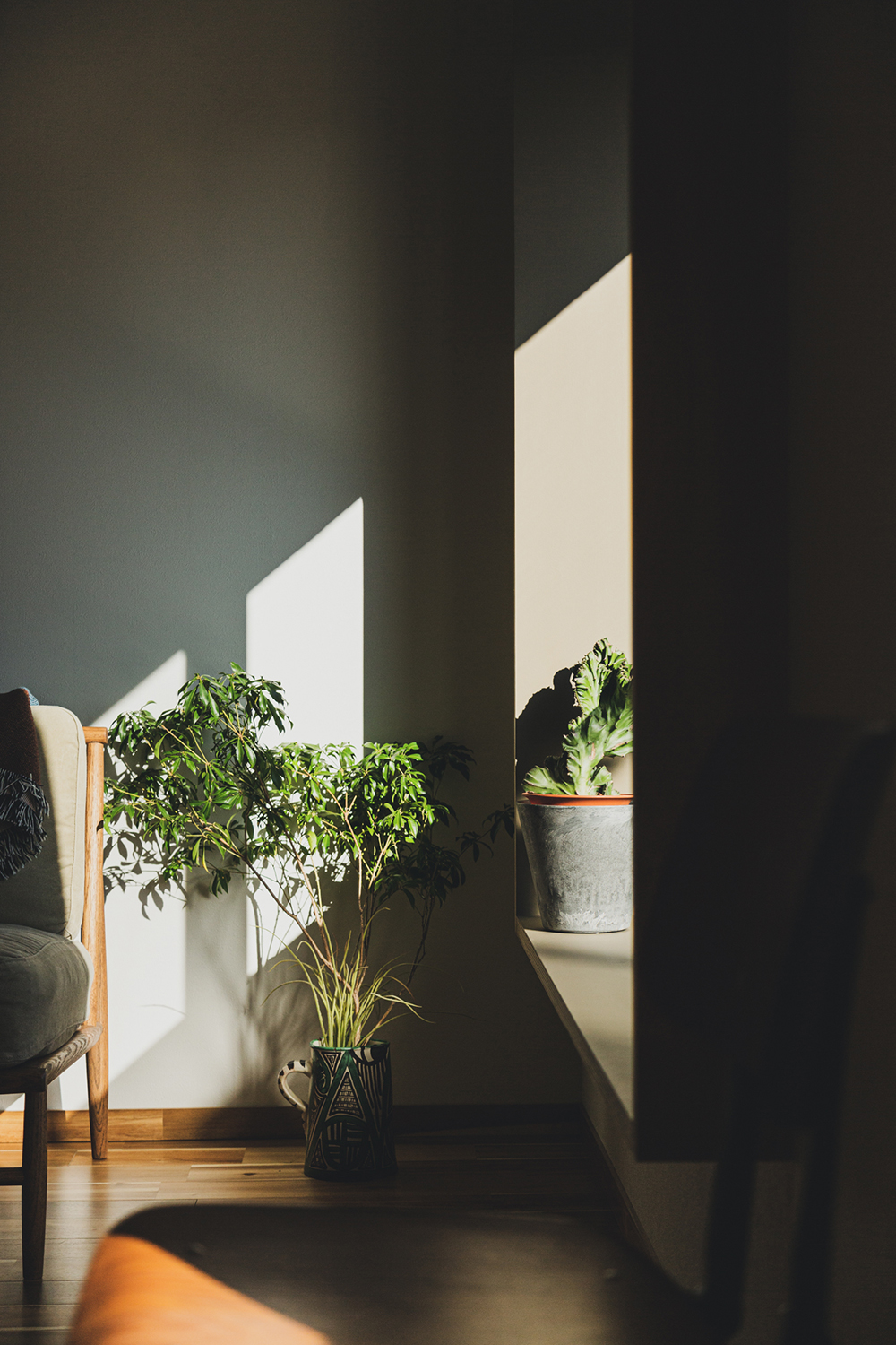 GY4の窓際の観葉植物