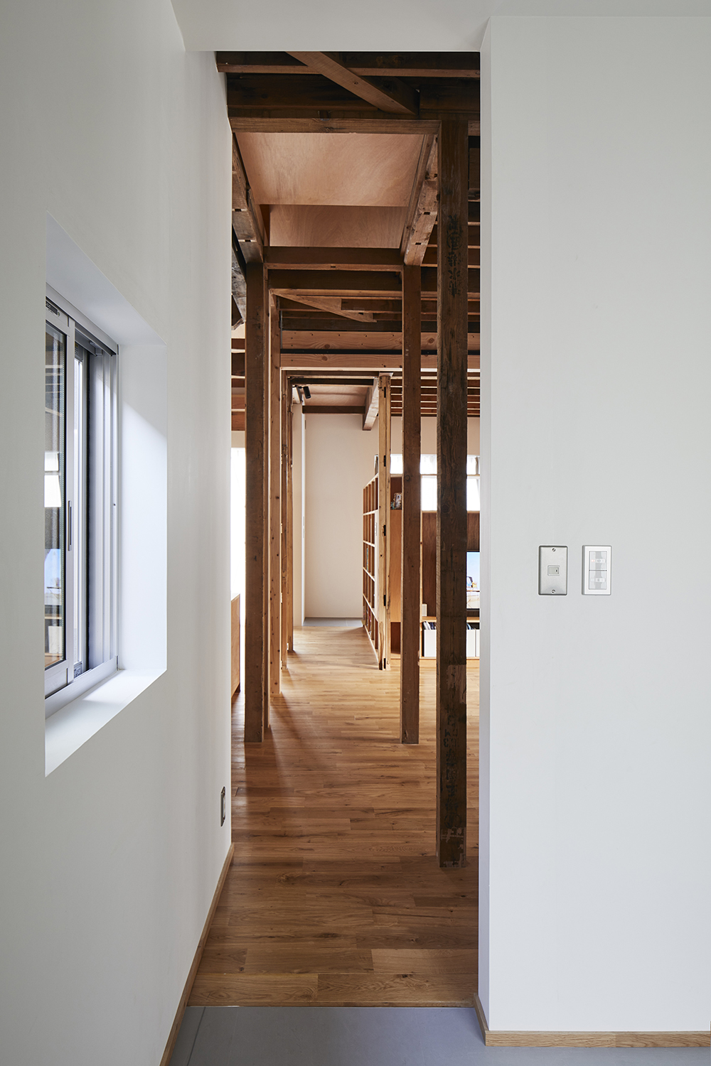 Structural forestの空間