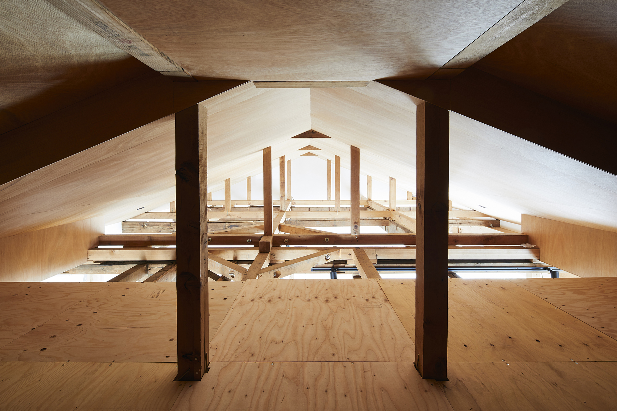 Structural forestの屋根裏